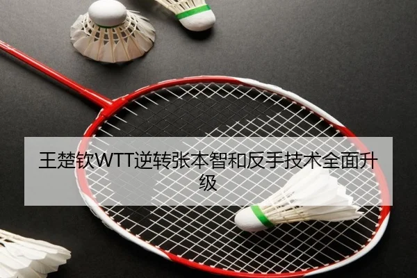 王楚钦WTT逆转张本智和反手技术全面升级