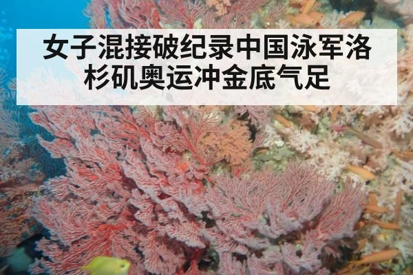 女子混接破纪录中国泳军洛杉矶奥运冲金底气足