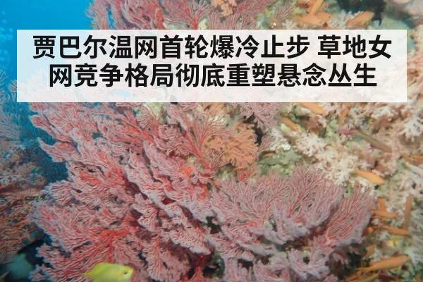 贾巴尔温网首轮爆冷止步 草地女网竞争格局彻底重塑悬念丛生